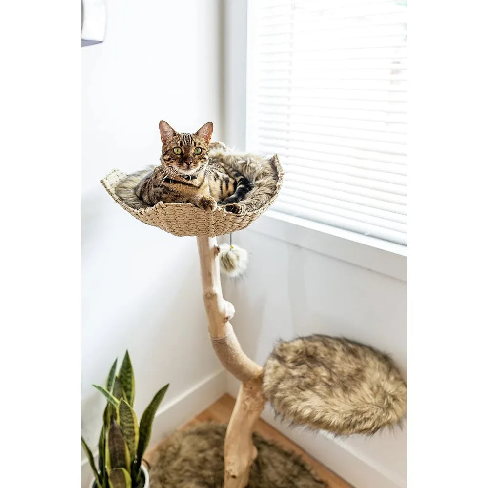 Wooden Cat Tree Tower, Modern Single Branch Wood Cat Tree, Cat Climbing, Furniture for , Gift,