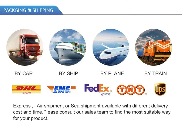 Commercial Gym Strength Training Multifunctional Back Extension Roman Chair Adjustable Sit Up Bench for Men and Women