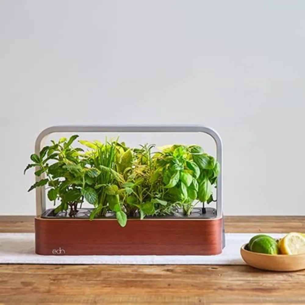 Small Garden with Basil Seed Pods Indoor Smart Garden for iOS Devices Fresh Home Grown Herbs