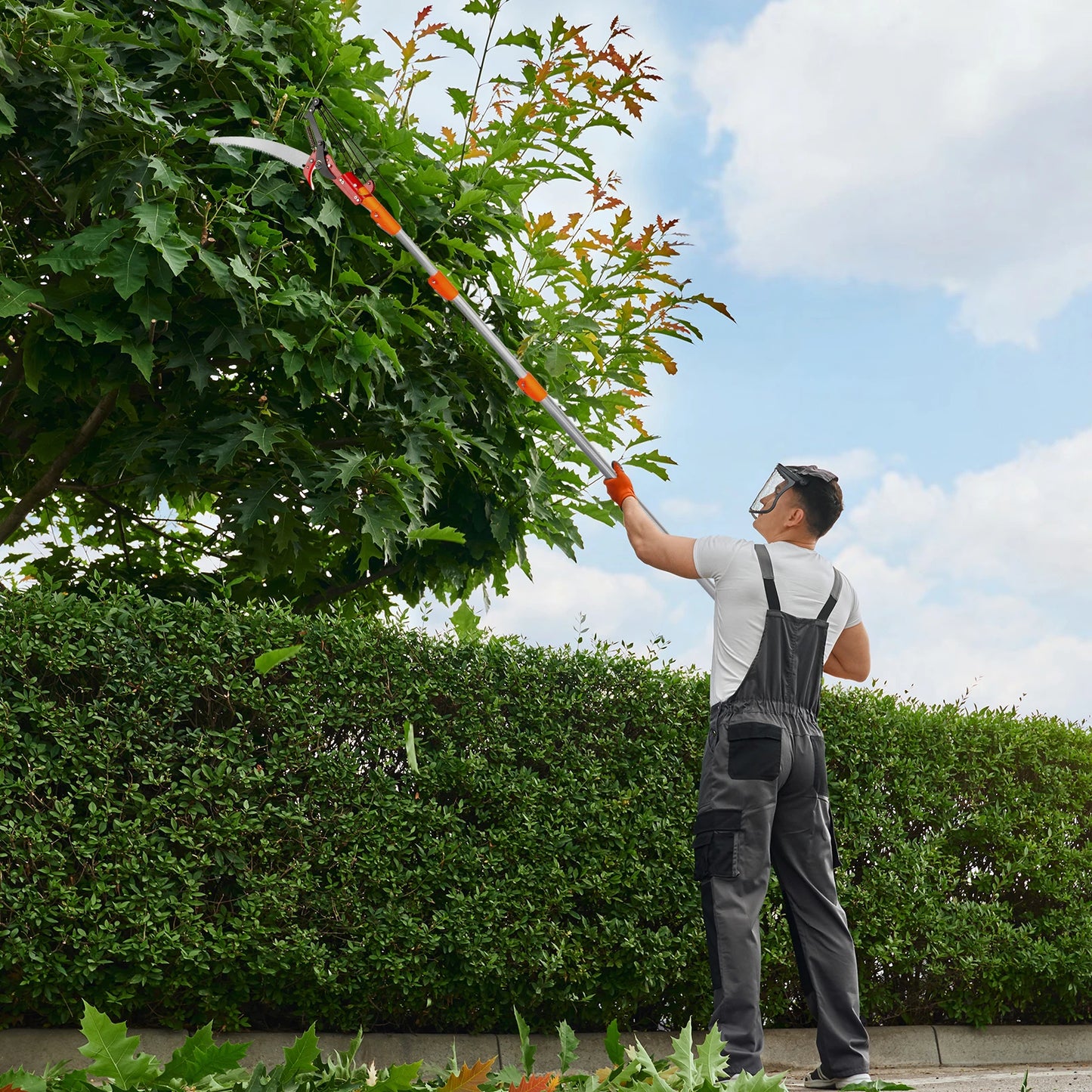 Garden Hand Pruning Saw Tools, Extendable Poles From 7.3ft Up To 24.1ft, All-in-one Pruning Kit, Versatile Application