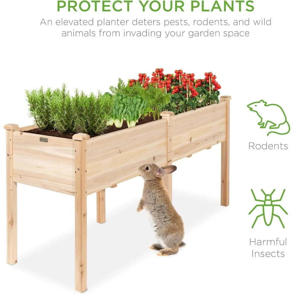 DAFIFY Elevated Wood Garden Bed Planter With Divider Panel