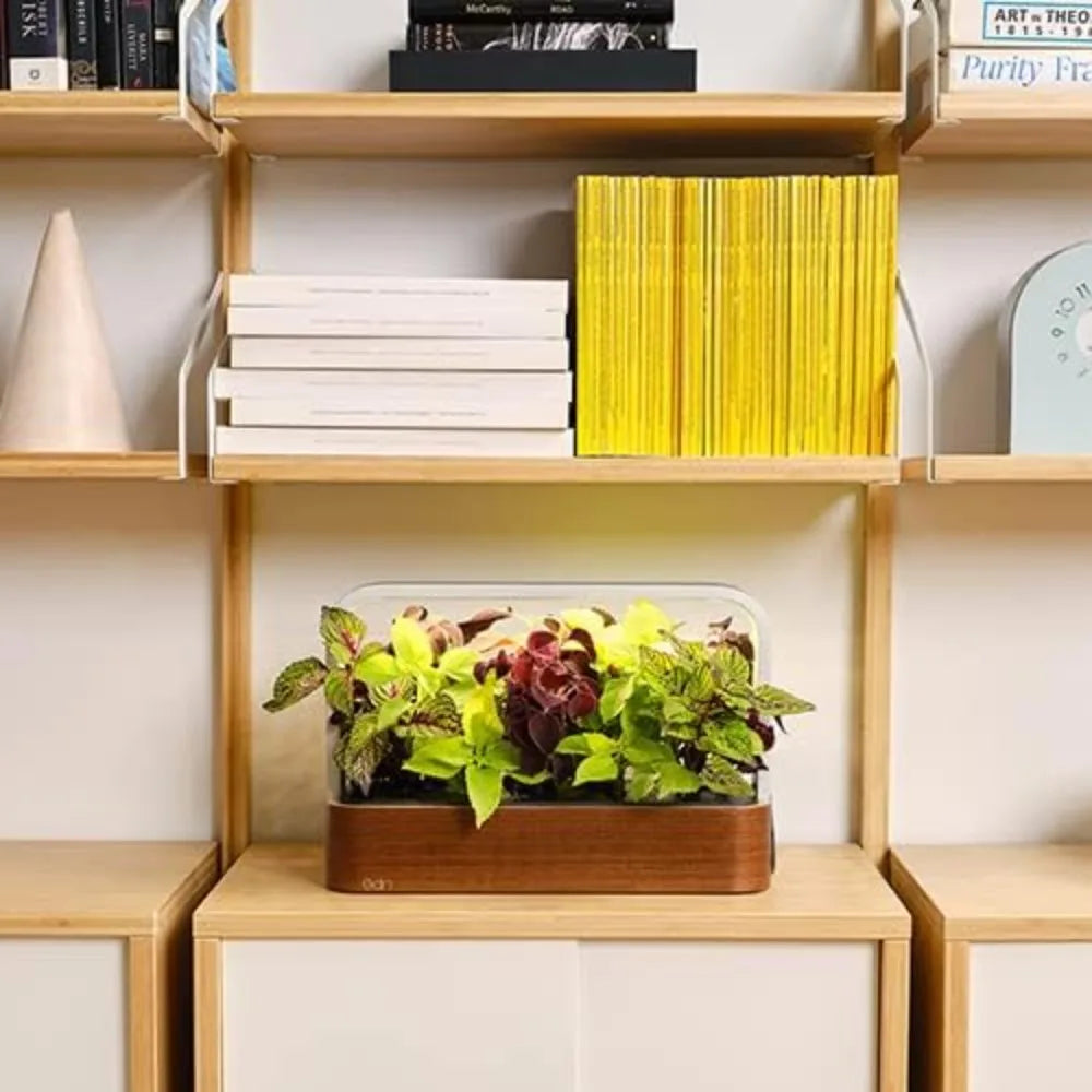 Small Garden with Basil Seed Pods Indoor Smart Garden for iOS Devices Fresh Home Grown Herbs