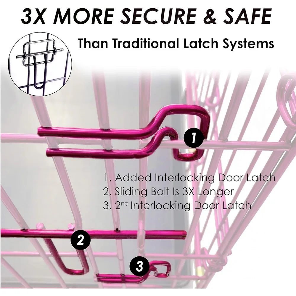 Expressions Luxury Colorful 36 Inch Foldable Dog Crate