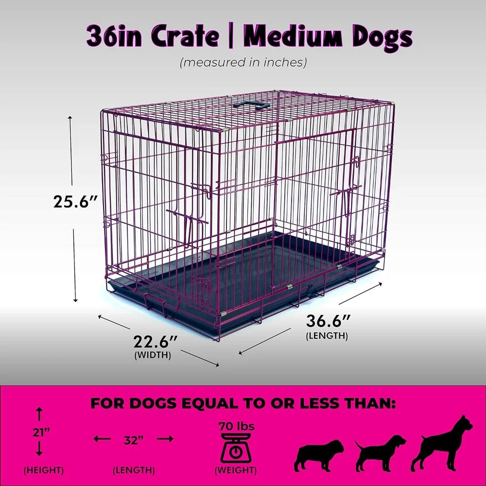 Expressions Luxury Colorful 36 Inch Foldable Dog Crate