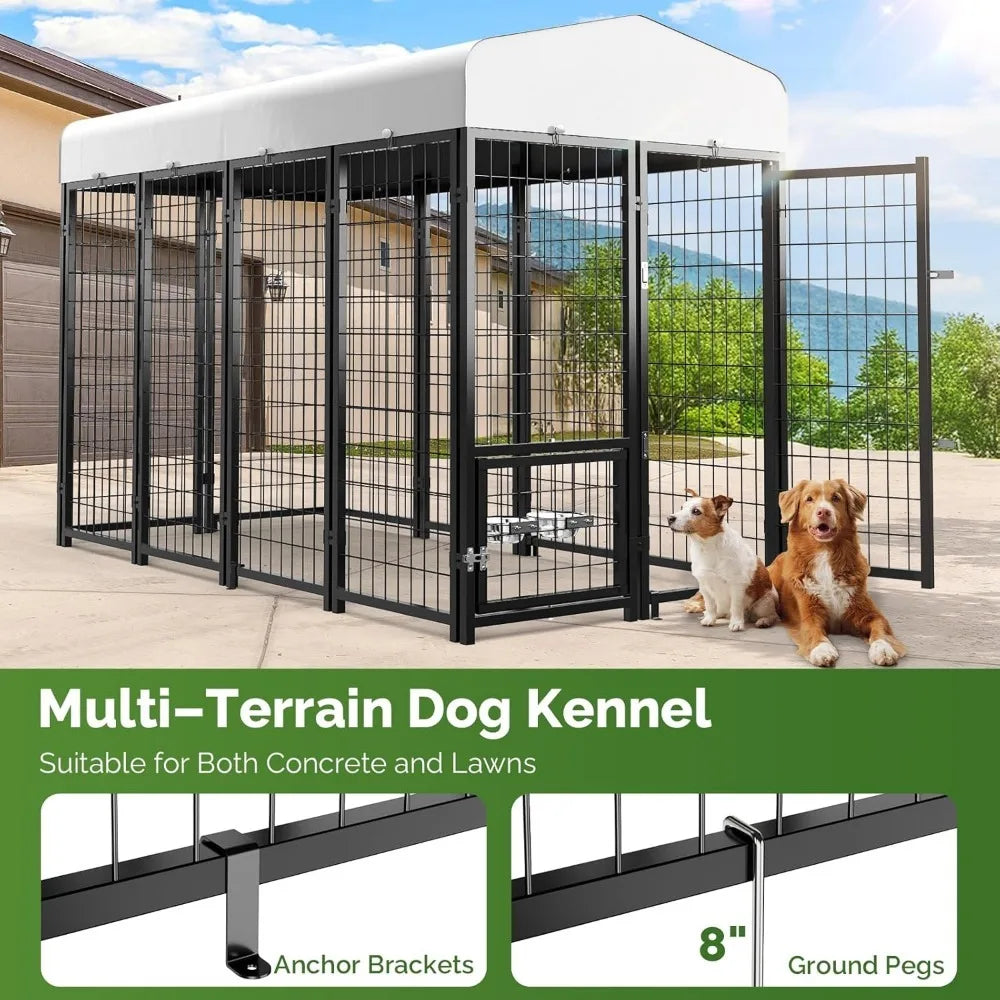Outdoor Dog Kennel Outside Run with Doggy Door Roof 8x4x6