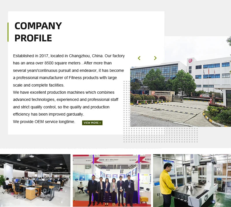 Commercial Gym Strength Training Multifunctional Back Extension Roman Chair Adjustable Sit Up Bench for Men and Women