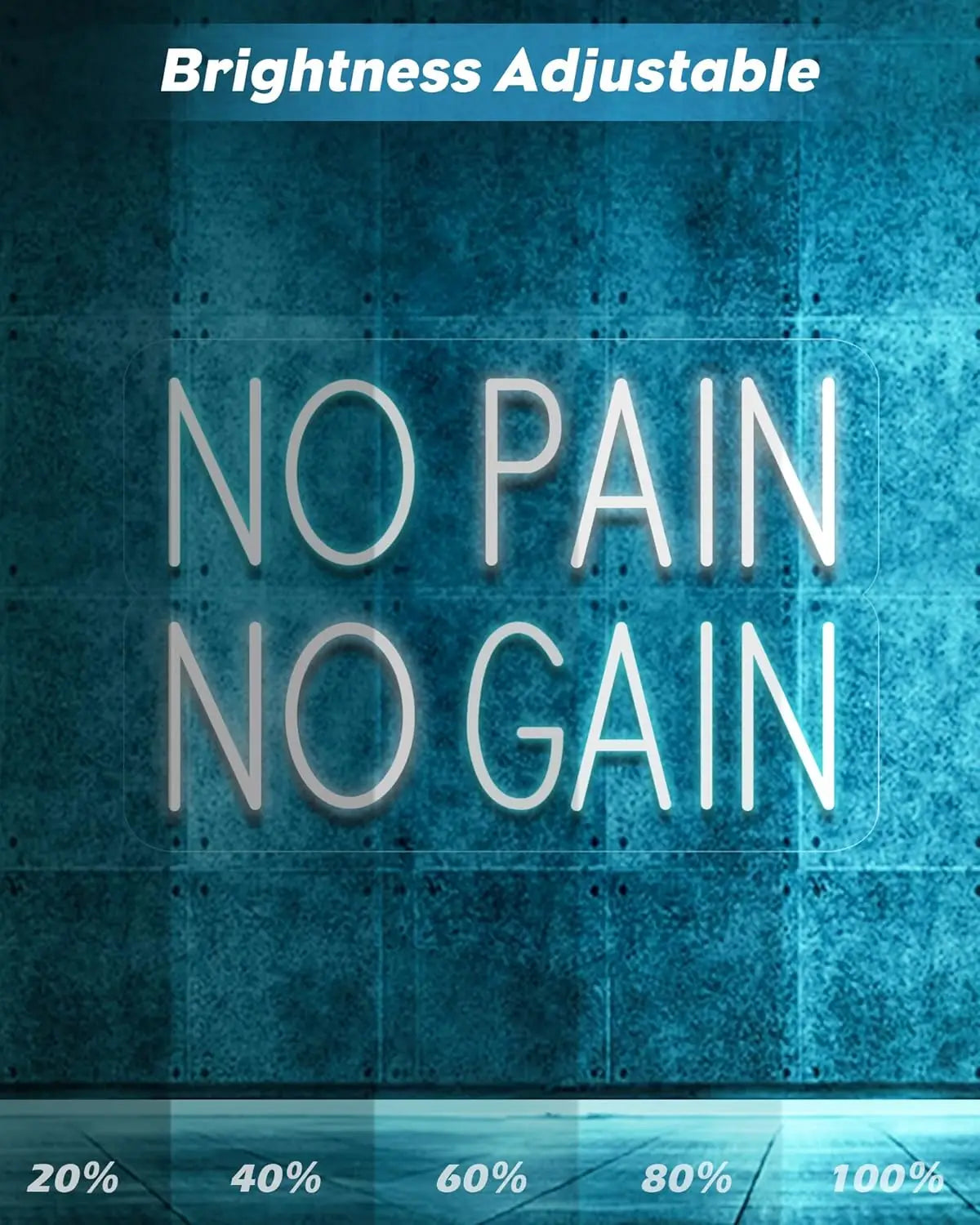 Hign Concerned No Pain No Gain LED Neon Sign USB