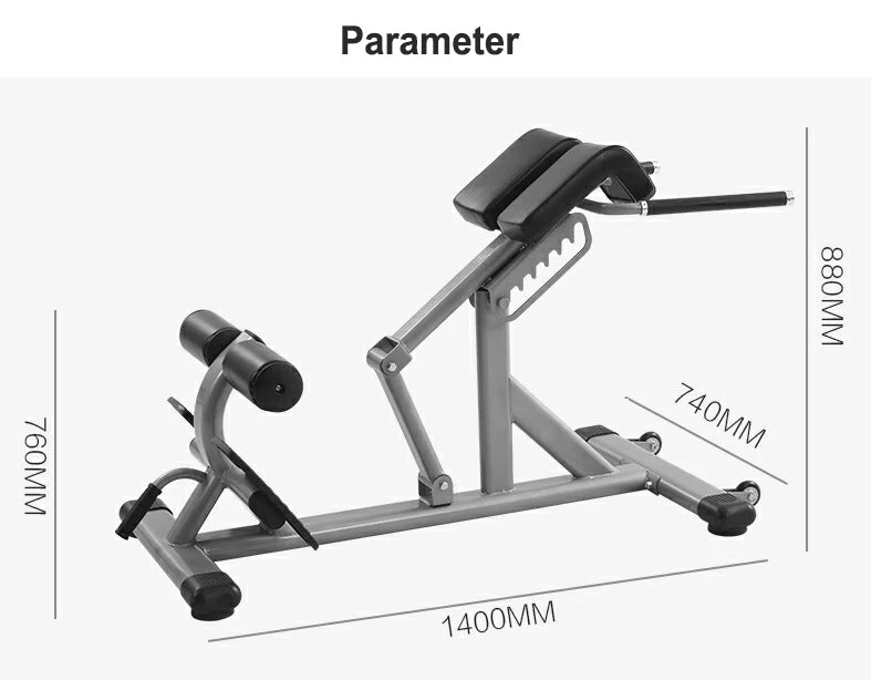 Commercial Gym Strength Training Multifunctional Back Extension Roman Chair Adjustable Sit Up Bench for Men and Women