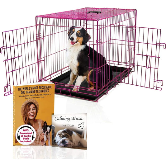Expressions Luxury Colorful 36 Inch Foldable Dog Crate