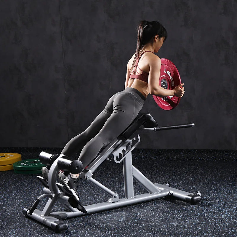 Commercial Gym Strength Training Multifunctional Back Extension Roman Chair Adjustable Sit Up Bench for Men and Women