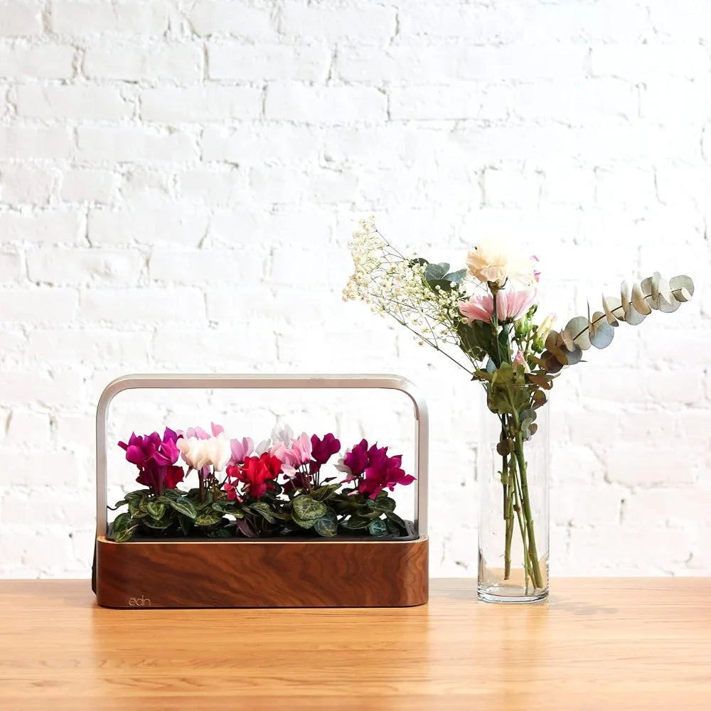 Small Garden with Basil Seed Pods Indoor Smart Garden for iOS Devices Fresh Home Grown Herbs