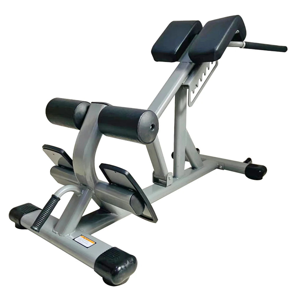 Commercial Gym Strength Training Multifunctional Back Extension Roman Chair Adjustable Sit Up Bench for Men and Women