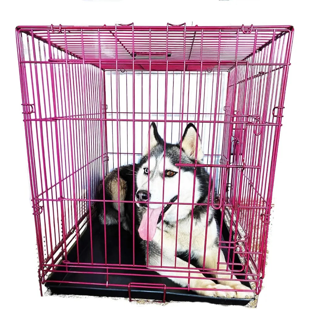 Expressions Luxury Colorful 36 Inch Foldable Dog Crate