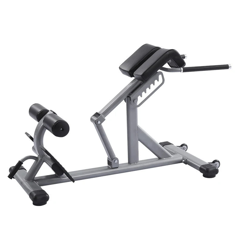 Commercial Gym Strength Training Multifunctional Back Extension Roman Chair Adjustable Sit Up Bench for Men and Women