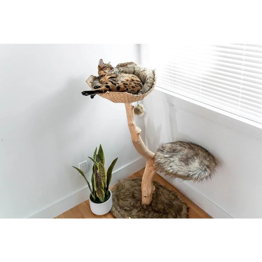 Wooden Cat Tree Tower, Modern Single Branch Wood Cat Tree, Cat Climbing, Furniture for , Gift,