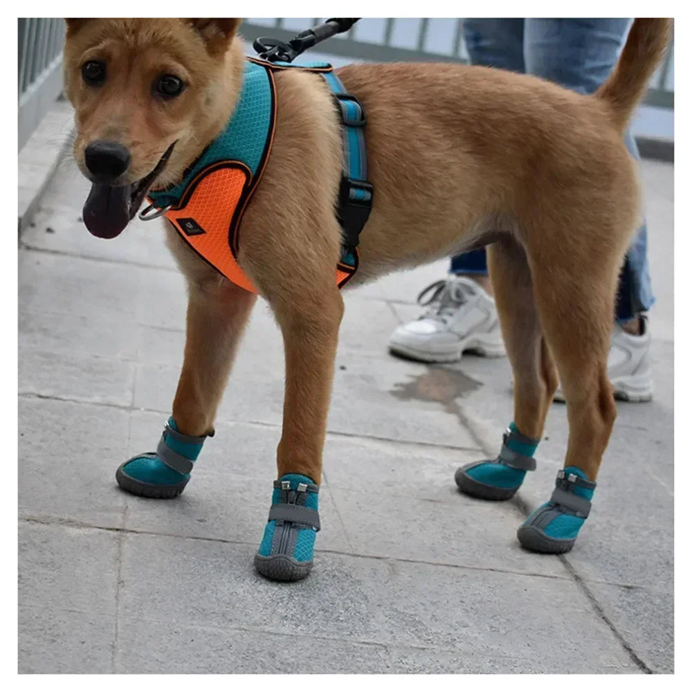 Pet Dog Shoes Lightweight Wear-resistant Breathable Fashion Dog Mesh Sneakers Puppy Boots Waterproof Footwear for Cat Reflective