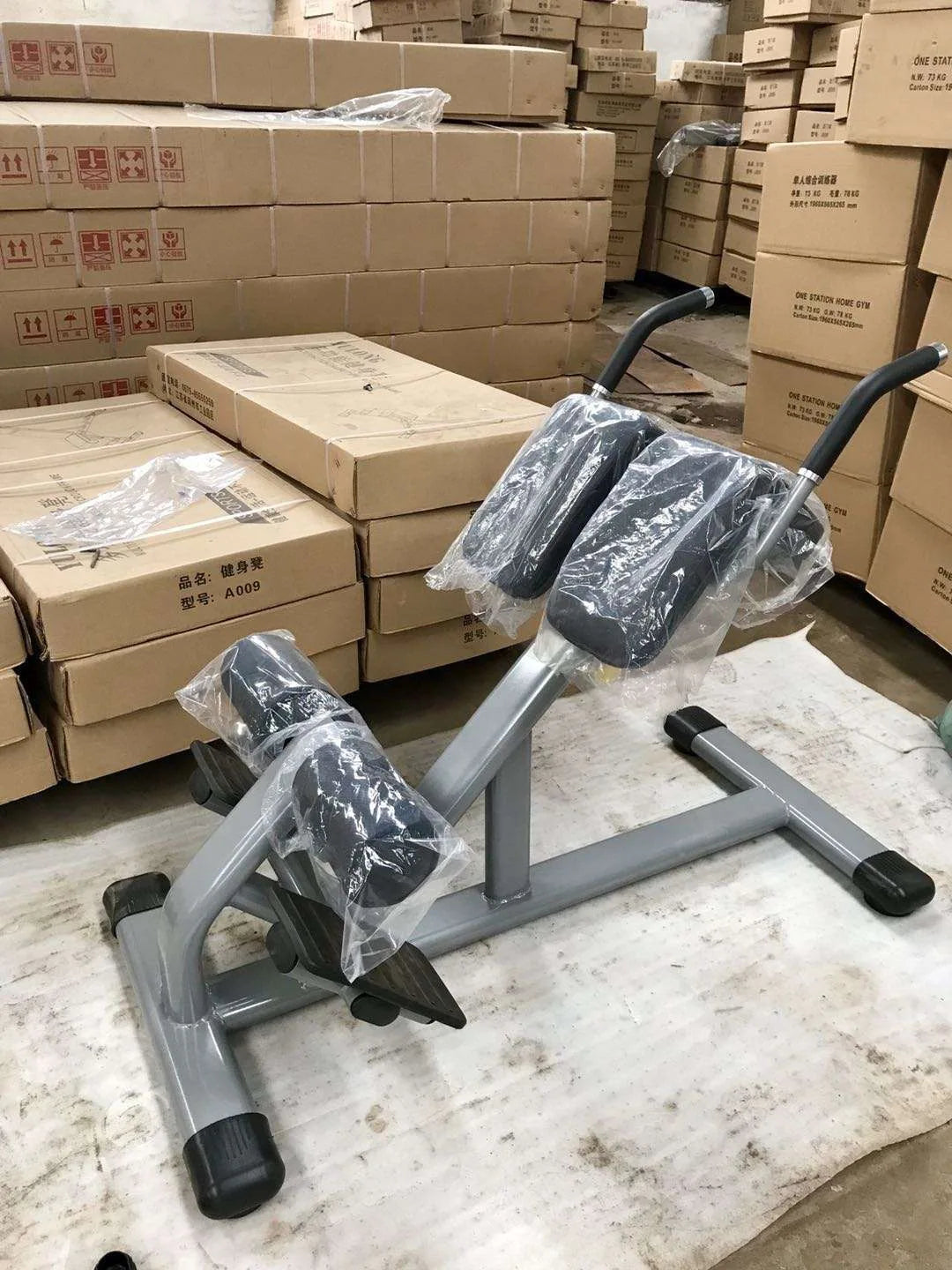 Commercial Gym Strength Training Multifunctional Back Extension Roman Chair Adjustable Sit Up Bench for Men and Women