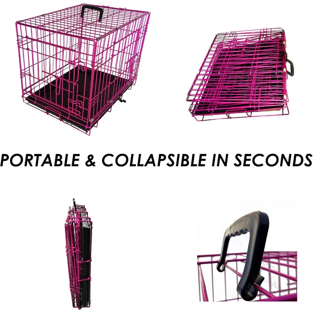 Expressions Luxury Colorful 36 Inch Foldable Dog Crate