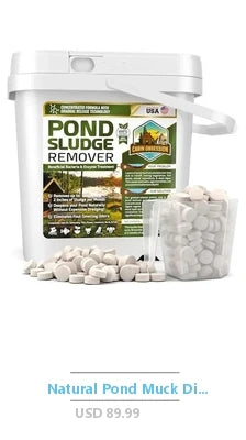 Full Size Loft Bed Combo Set with Storage Stairs Desk Bookshelf Drawers and Wardrobe Solid Wood Frame for Kids Teens and Adults in White